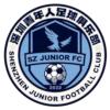 深圳青年人 深圳青年人